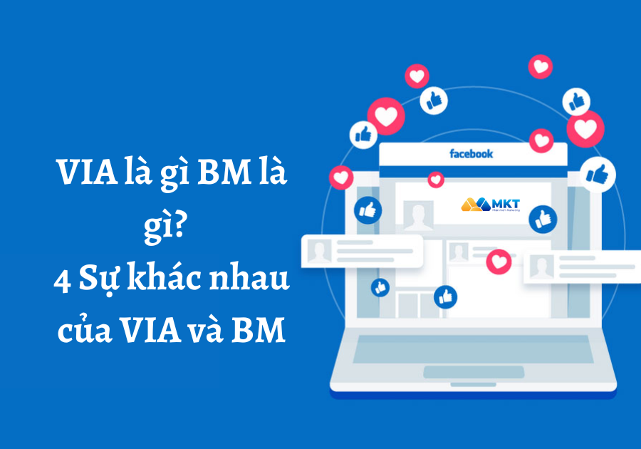 VIA là gì BM là gì? 4 Sự khác nhau của VIA và BM